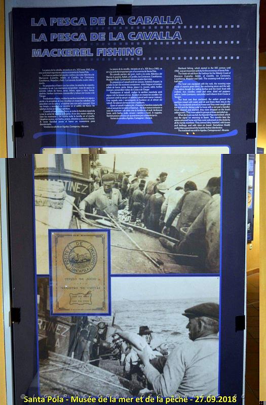 35 SANTA POLA - MUSEE DE LA MER ET DE LA PECHE (159).JPG
